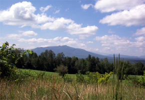 The biker's view of a mountain